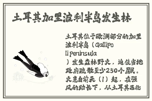 yw193换哪个网名了